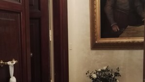 A room with a wooden door, a framed painting on the wall, and a small table with a plant. - Guest House Calamatta (Rome)