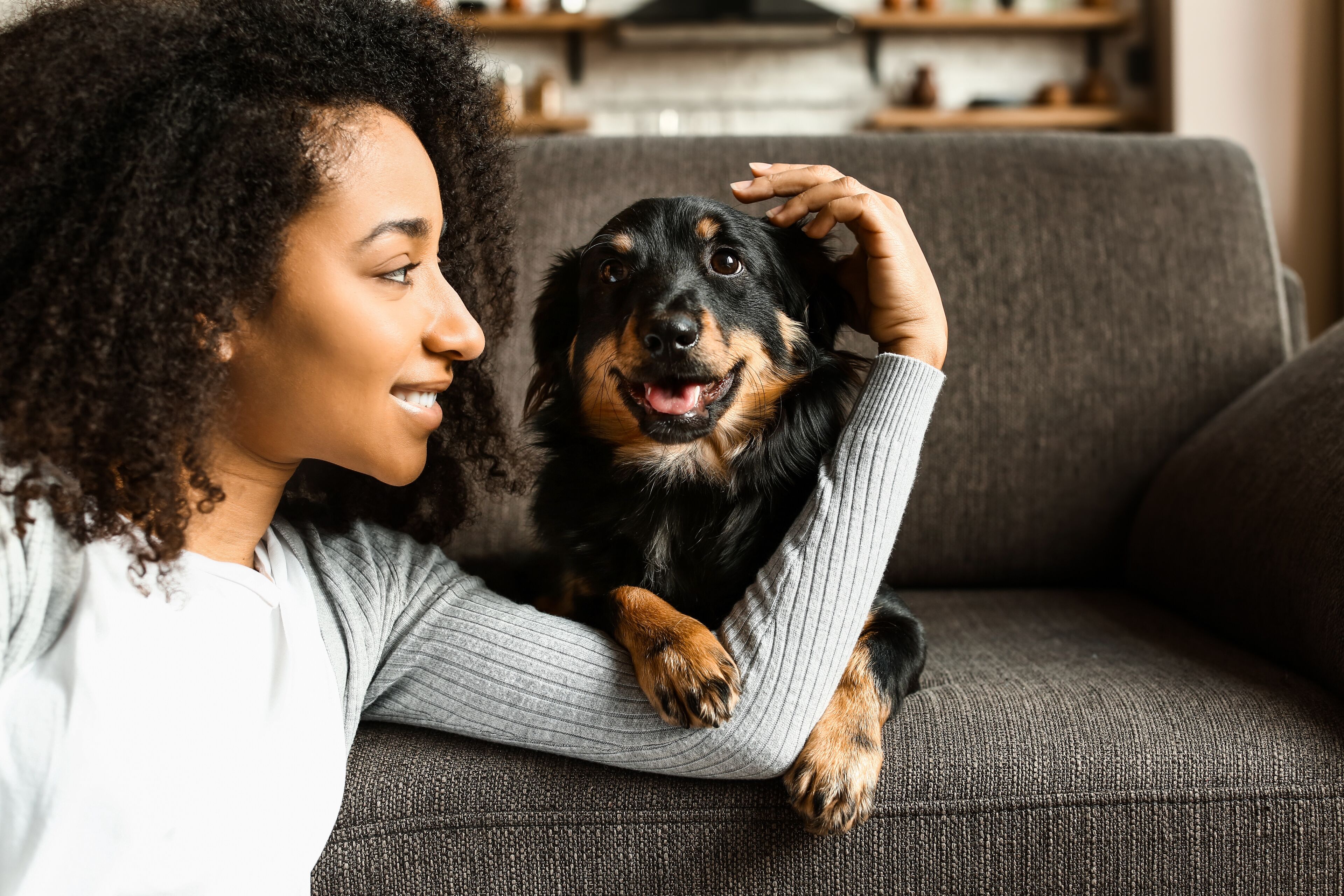 Une personne assise sur un canapé gris, avec un chien.