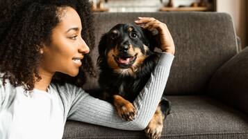 Une personne assise sur un canapé gris, avec un chien.