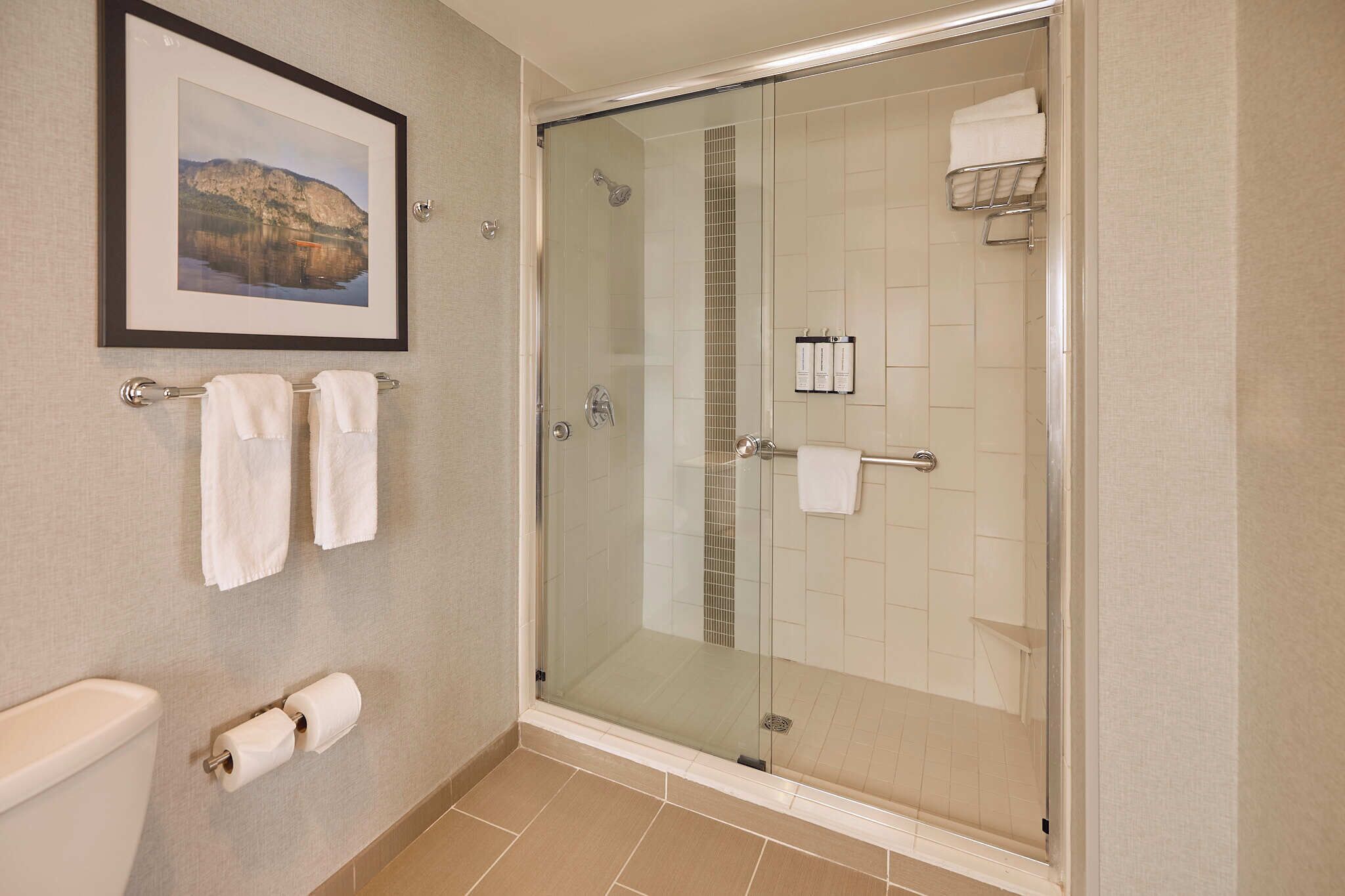 Une salle de bain moderne avec une douche à parois de verre, des toilettes et un tableau encadré au mur.