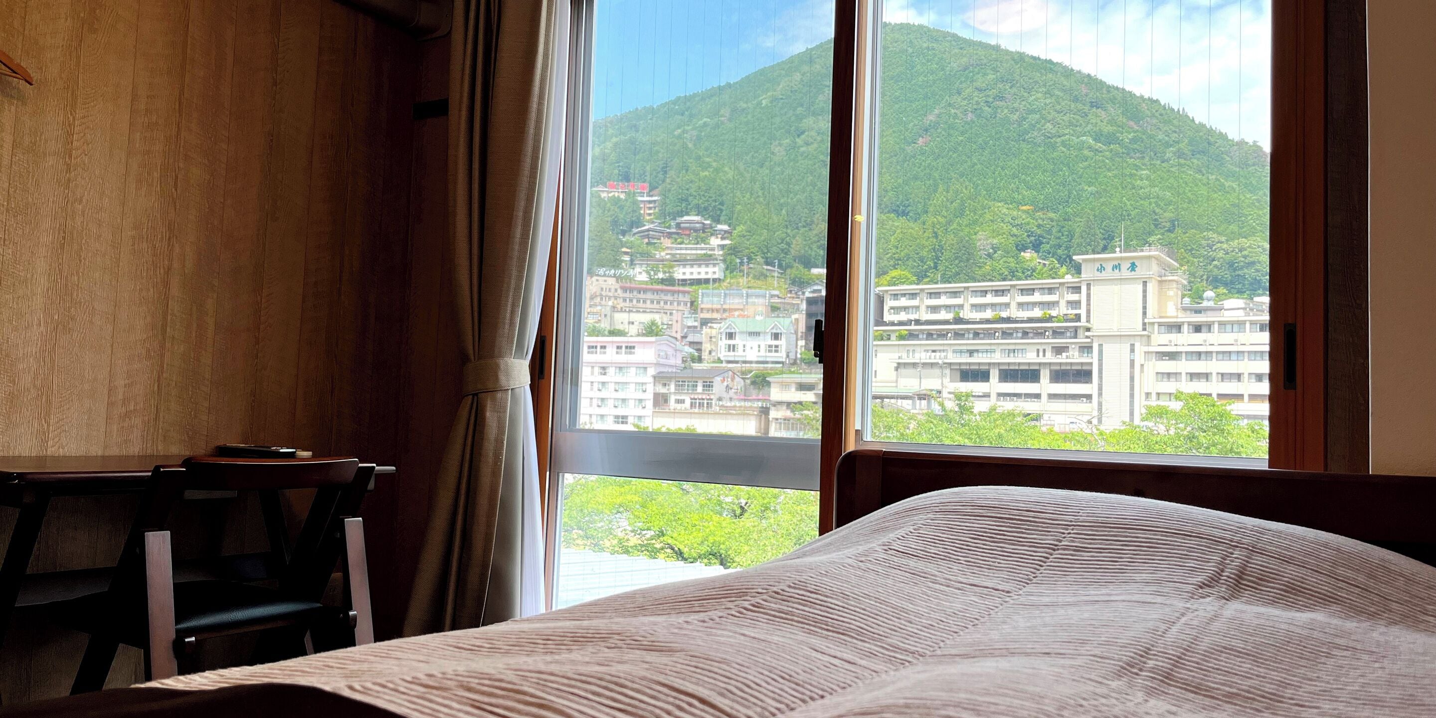 Single Room, 1 Twin Bed, Non Smoking | Desk, free WiFi