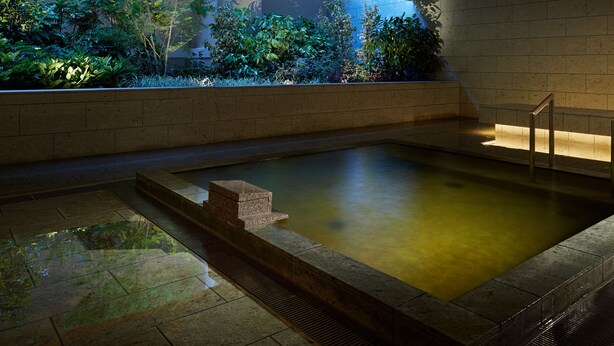 Un área de piscina interior tranquila con un borde de piedra, techo de madera y vistas a exuberante vegetación.