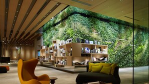 Un interior moderno con una pared verde, estanterías, un sillón amarillo y un sofá negro.