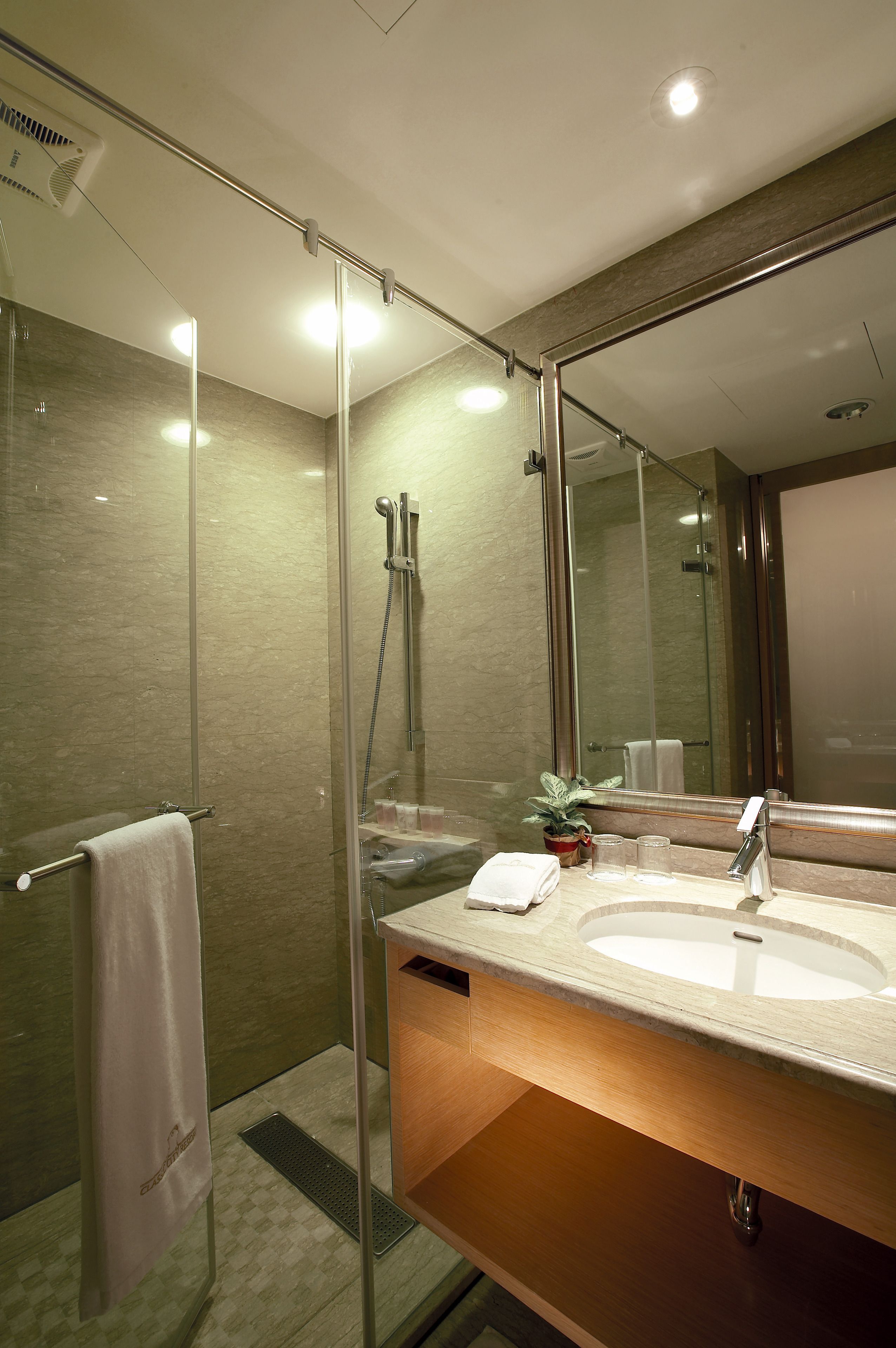 shower, hydromassage showerhead, hair dryer, towels