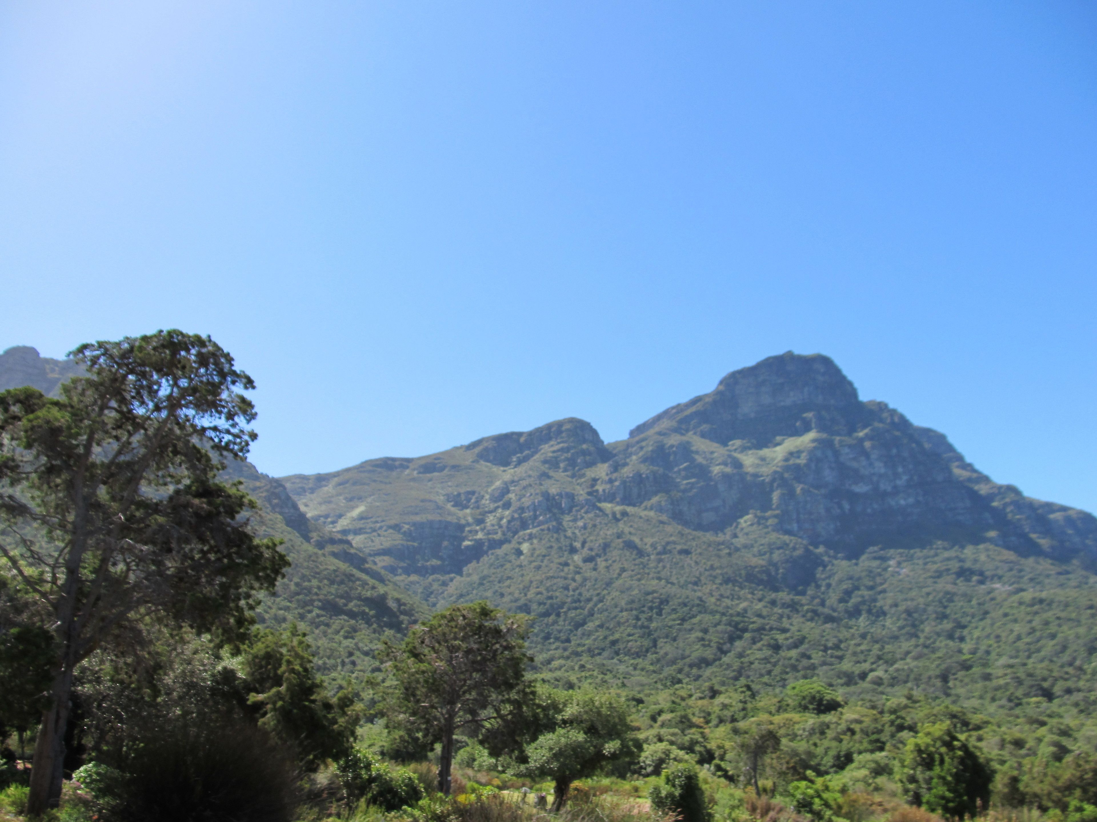 A mountainous landscape with dense forest.
