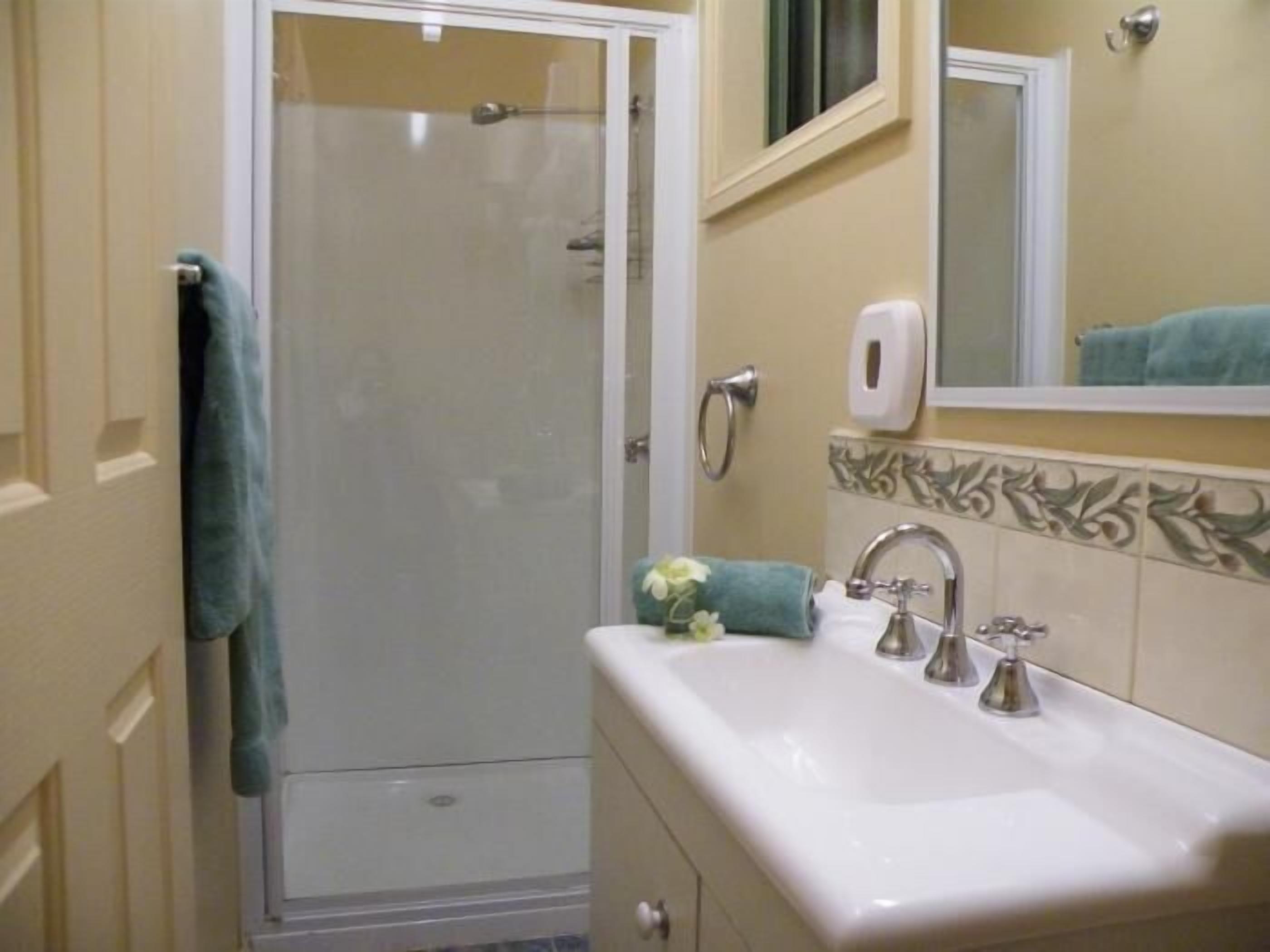 Une salle de bain avec une douche, un lavabo et un miroir.