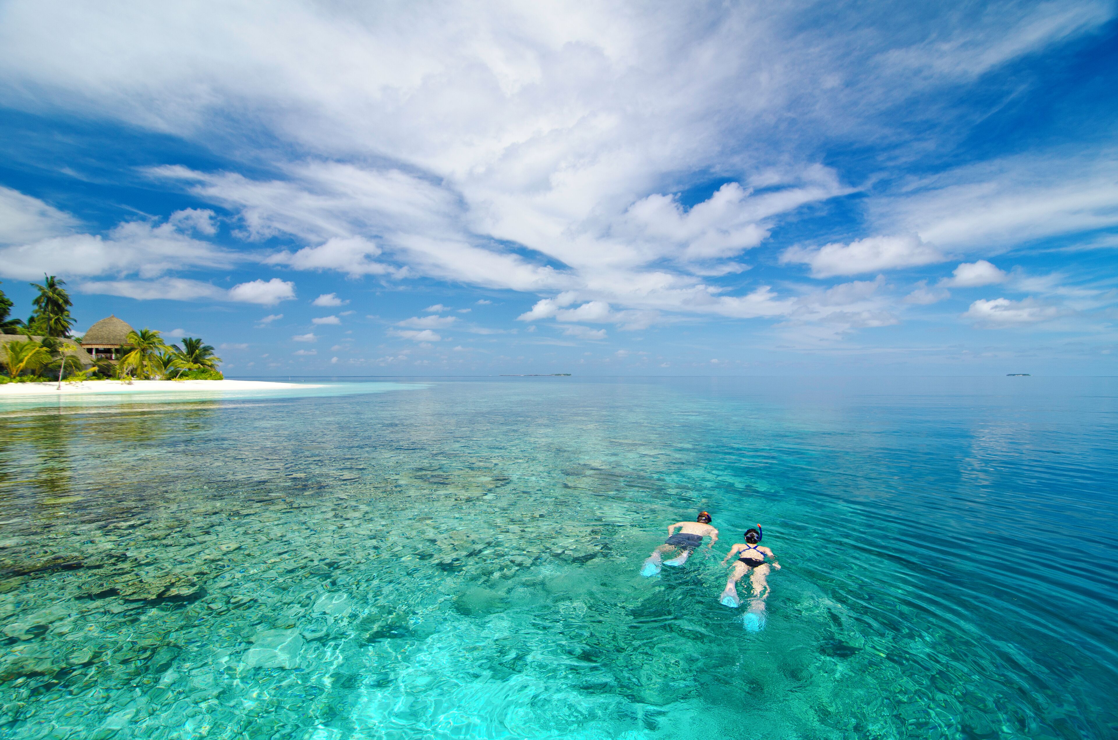 A clear tropical beach with two people snorkeling in the water.