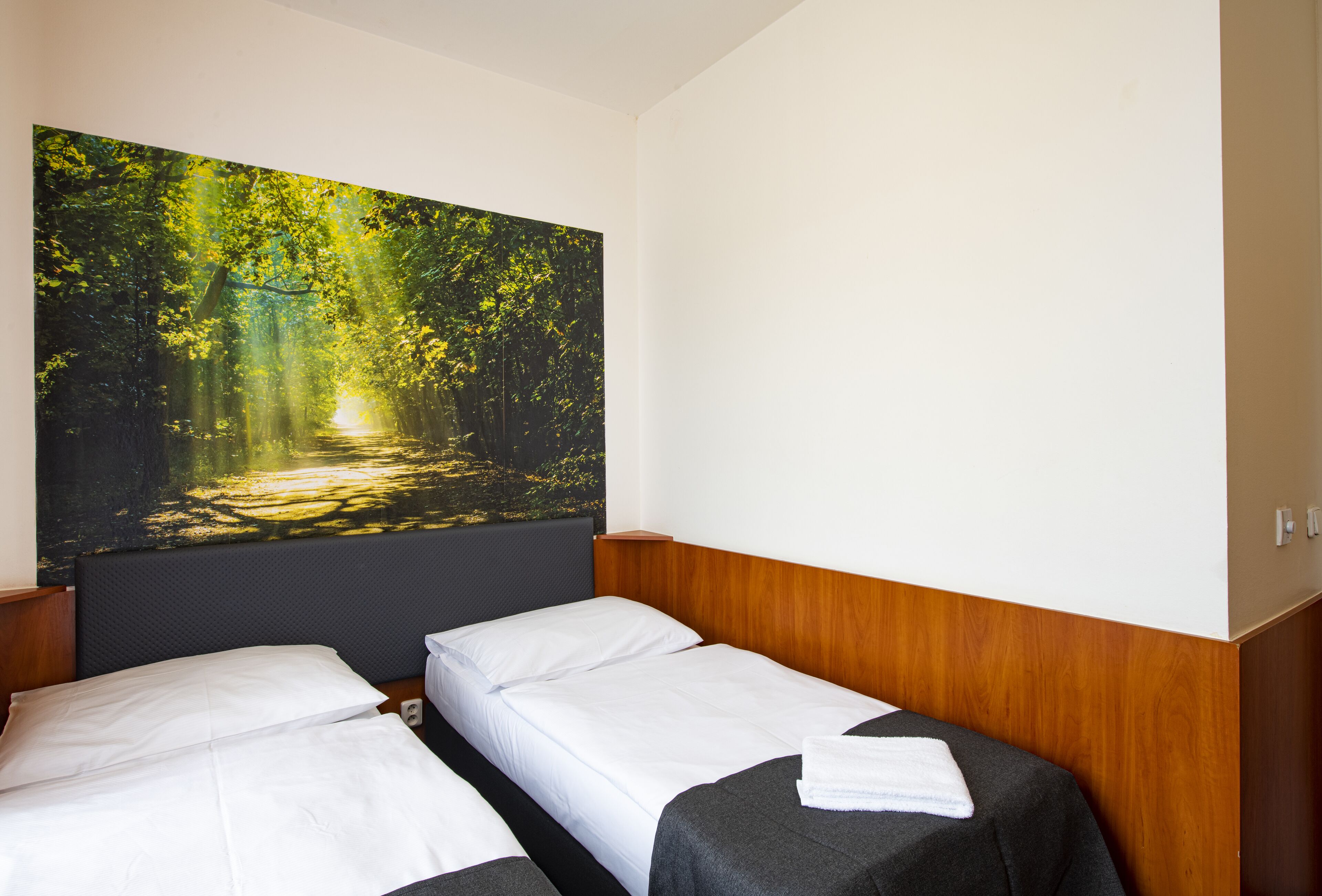 Camera d'albergo con due letti, un grande quadro a tema boschivo sulla parete e una testiera in legno.