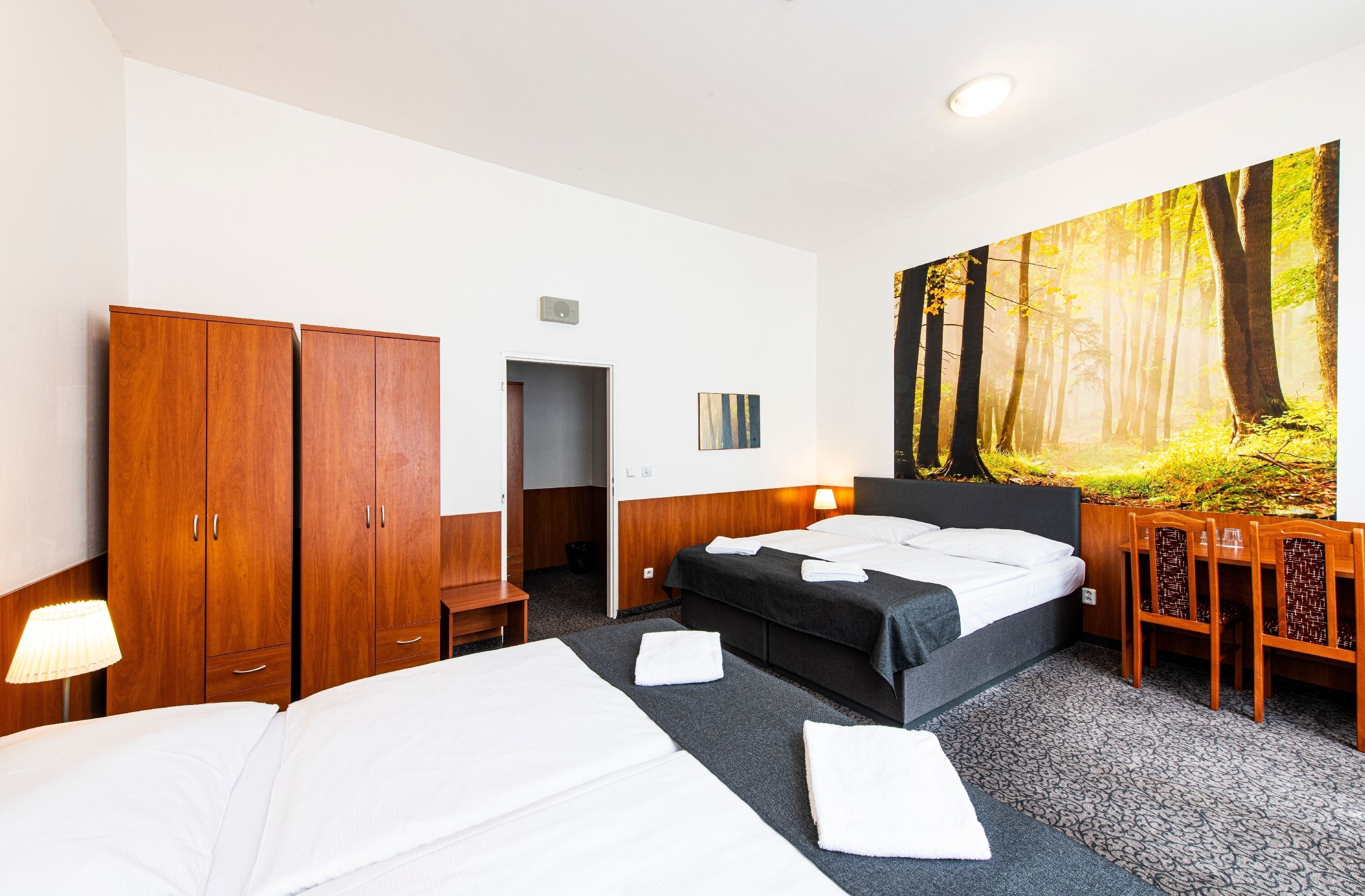 Foto - Hotel Zlatá Váha