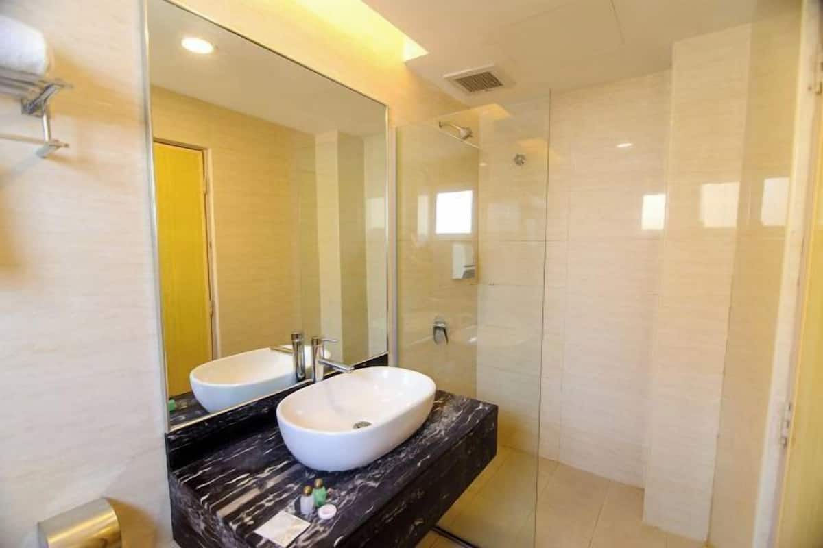 Regadera, regadera tipo lluvia, secadora de cabello, bidet