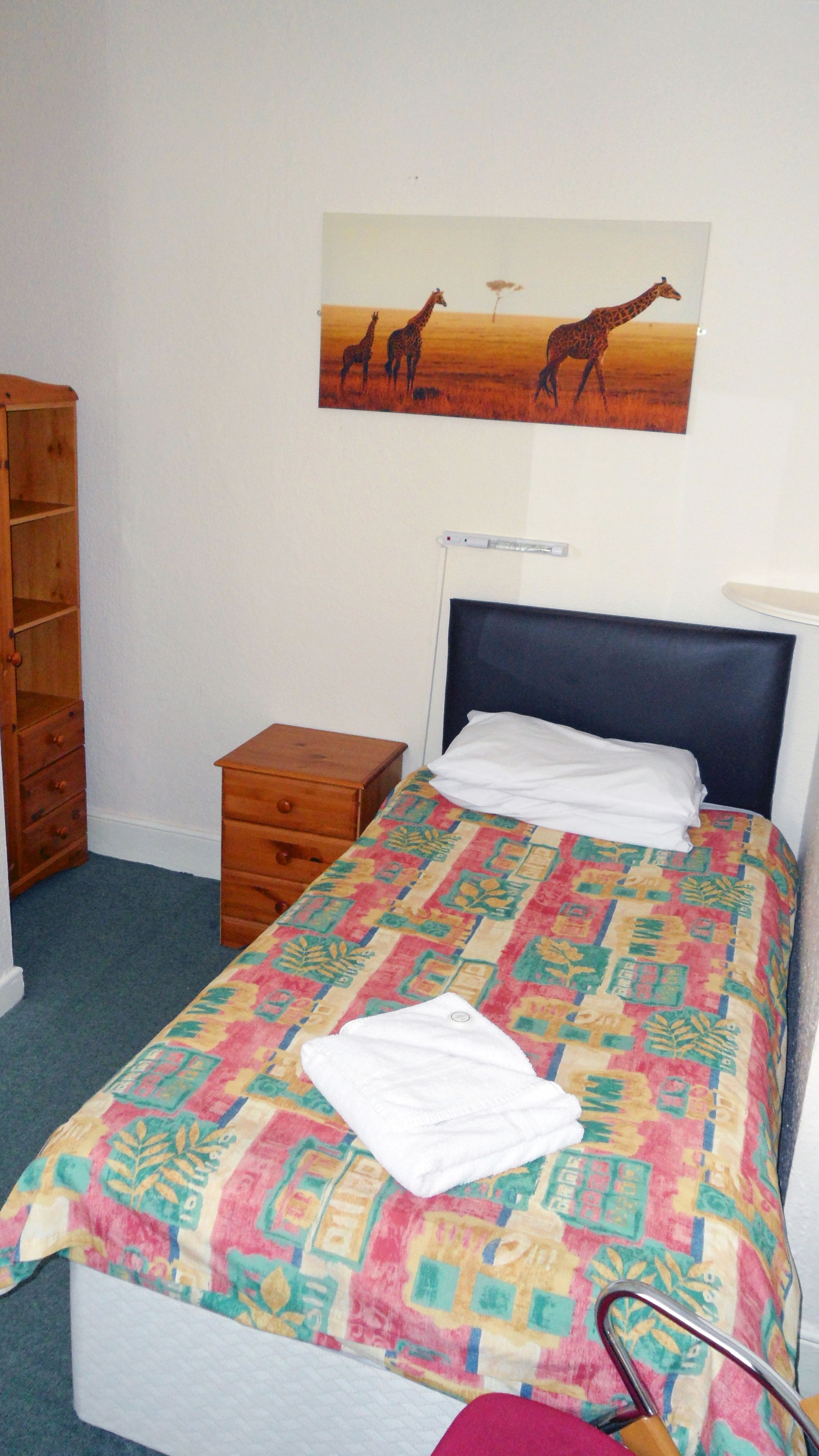 Una cama individual con un edredón colorido, una mesita de noche de madera, un cajón pequeño, un calentador fijado a la pared y un cuadro con un jirafa.