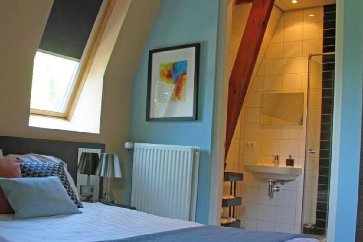 A bedroom with a bed, a radiator, a skylight, a shower, and a bathroom with a sink.