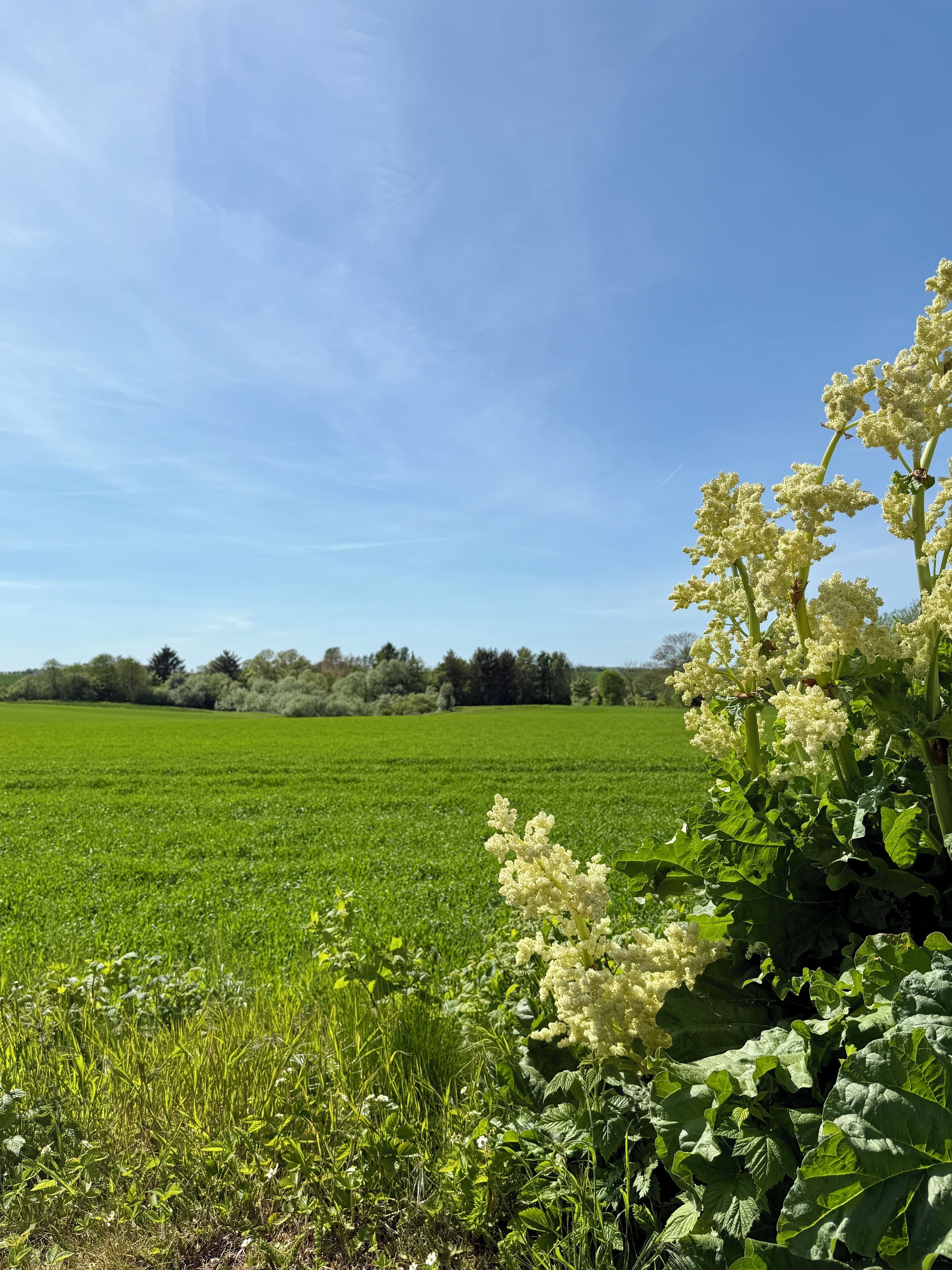 land view from property