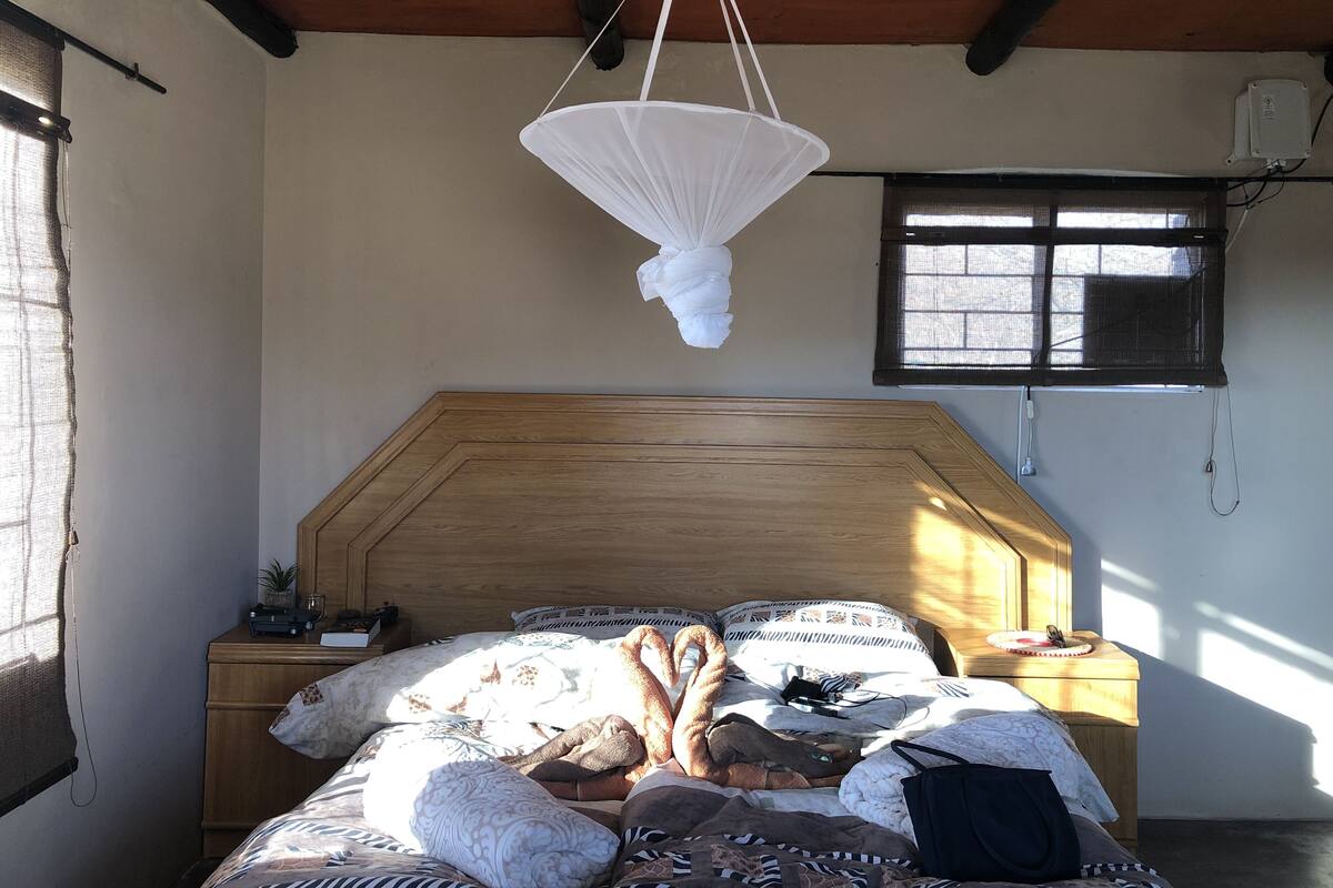 A bedroom with a wooden headboard, a hanging white canopy, a bed with multiple pillows and blankets, a bedside table with a lamp, and a window with a mesh screen.
