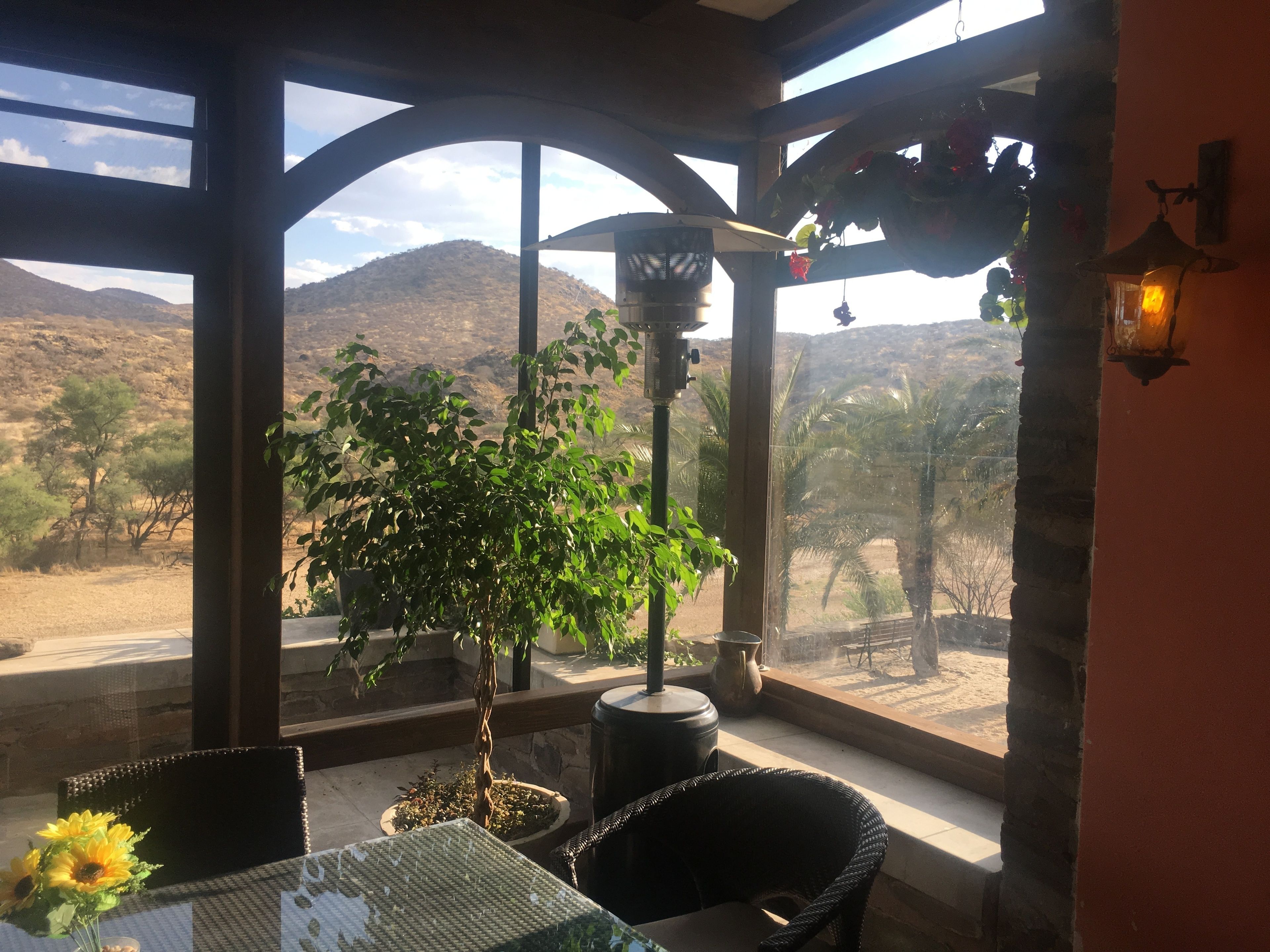 Un porche cubierto con una mesa, sillas y una planta en maceta.