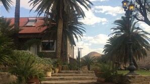 A stone staircase leading to a house with a red roof, surrounded by potted plants and palm trees.