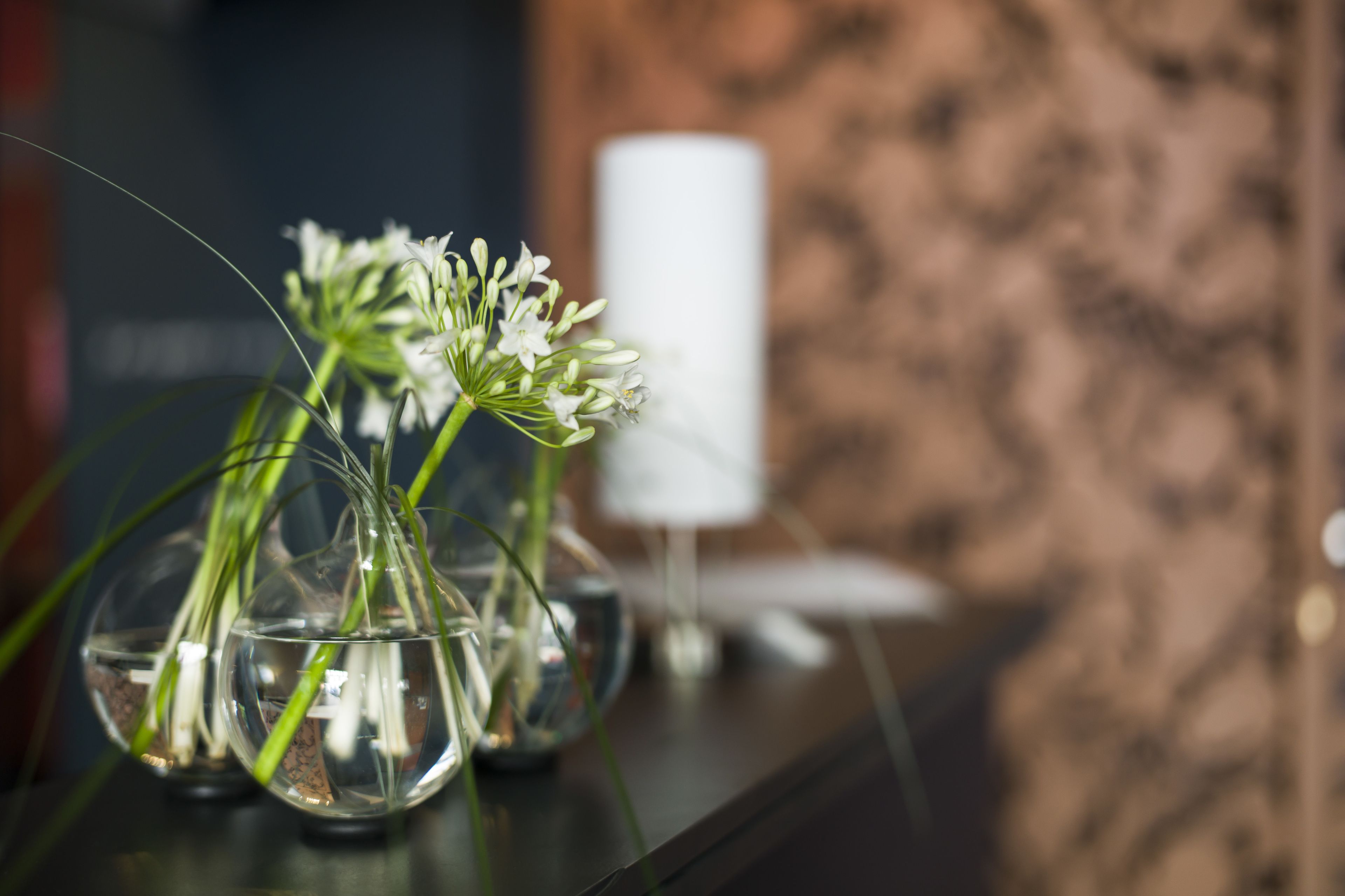 Trois vases en verre contenant de l’eau et des plantes vertes, posés sur une surface sombre.