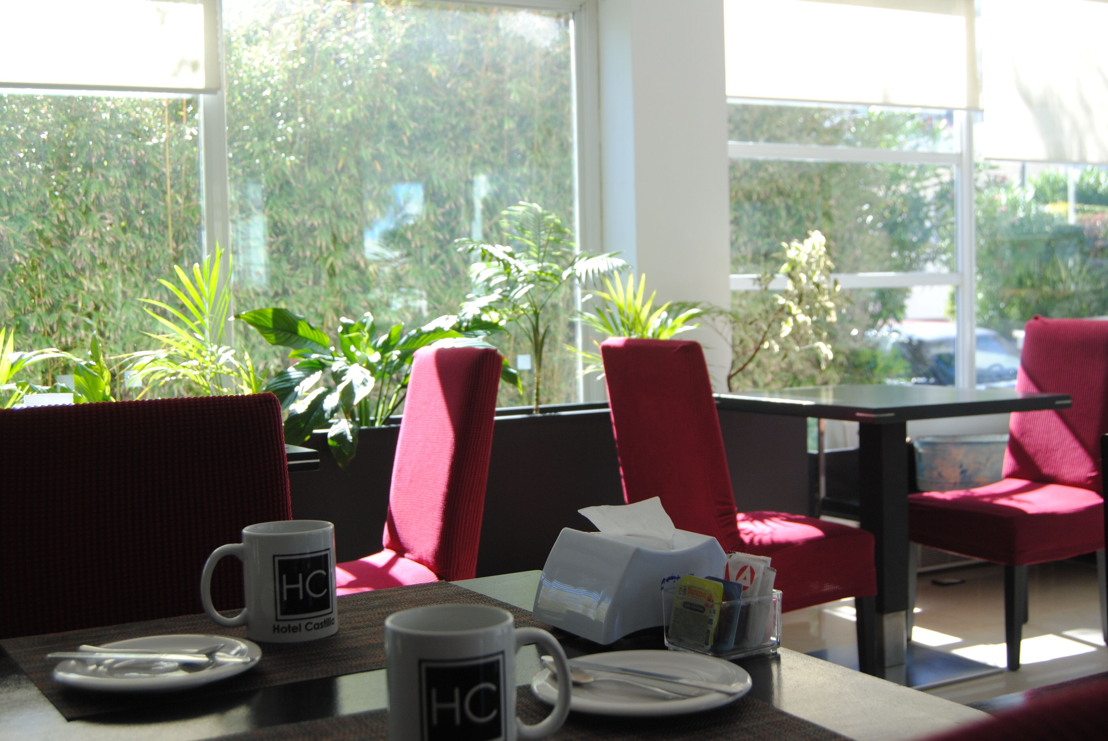 A hotel room with a table set for breakfast, including a mug, plates, and a tissue box. There are red chairs and potted plants near the window.