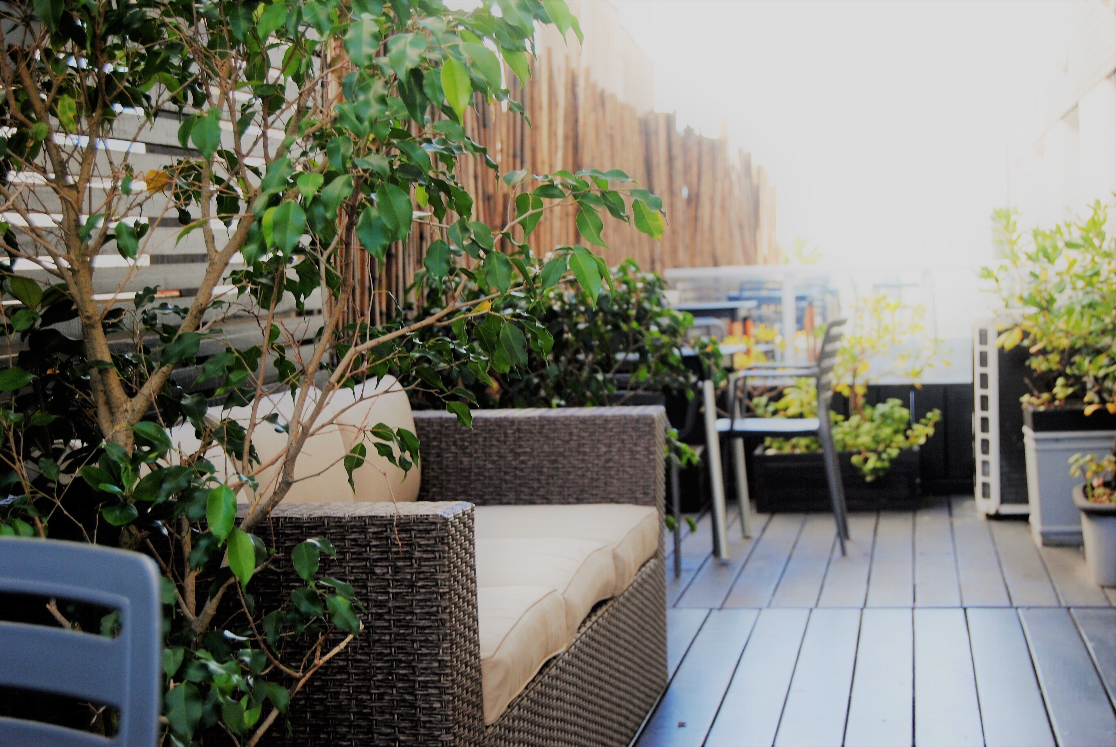 Foto - Hotel Castilla