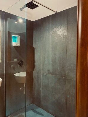 Secador de pelo, bidet, toallas, shampoo