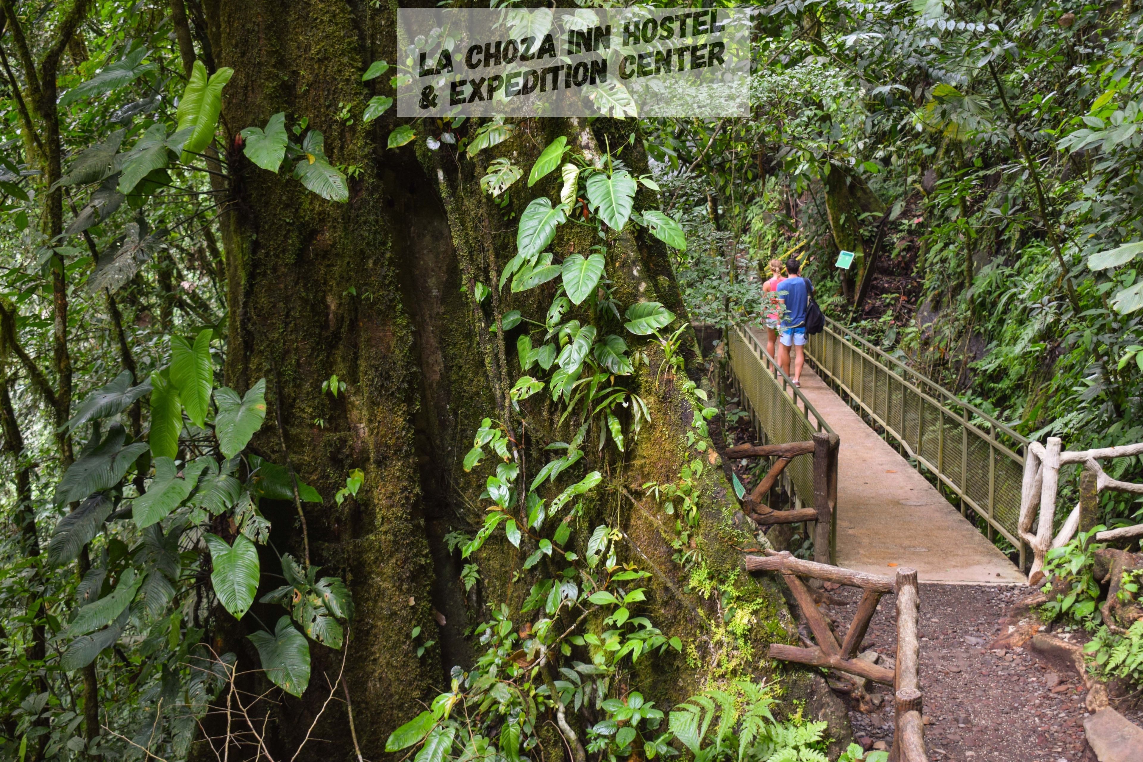 A wooden bridge leading to a hostel with a sign reading "La Choya Inn Hostel & Expedition Center".