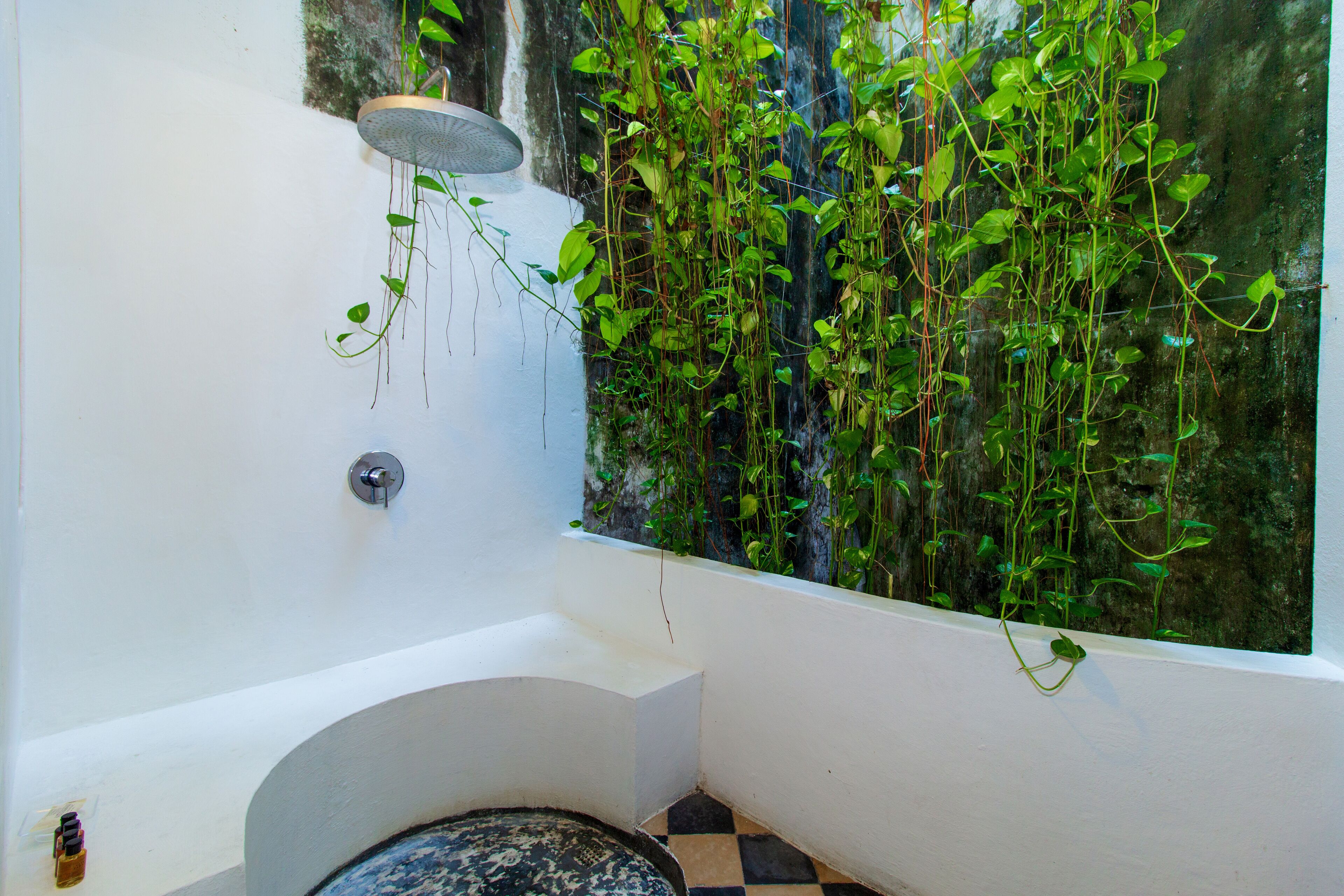 Foto - La Passion by Masaya Collection