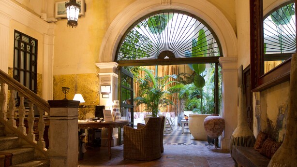 A grand hallway with a staircase, a reception desk, and a large potted plant.