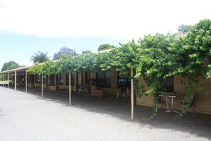 Courtyard - Angaston Vineyards Motel (Angaston)