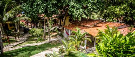 A tropical garden with a house featuring a tiled roof, stone pathway, and various plants.
