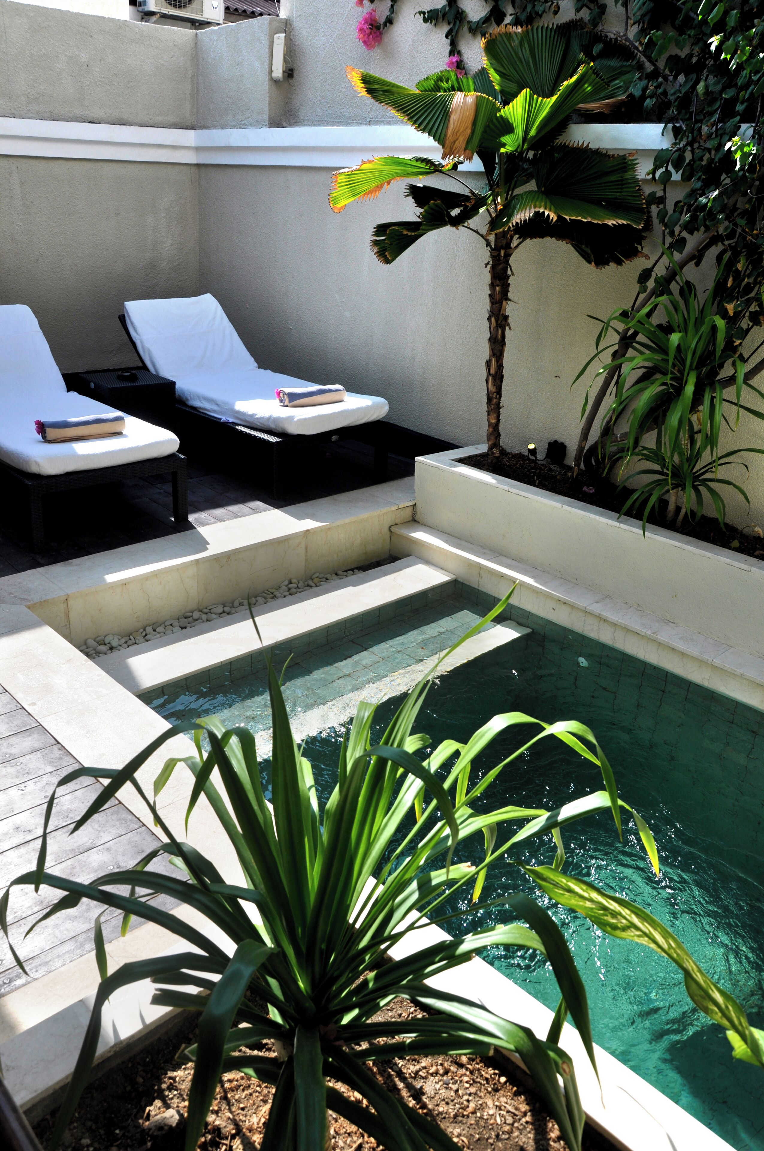 A pool area with two lounge chairs, a palm tree, and a small garden.