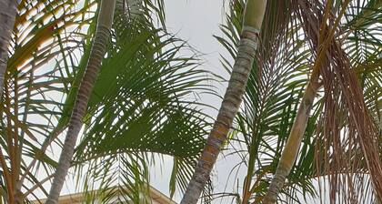 Alexandra Park Motor Inn