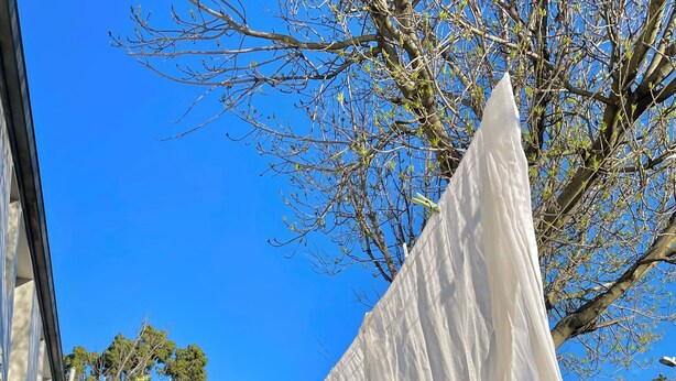 A white cloth hanging from a wooden structure in a garden with a clear blue sky.