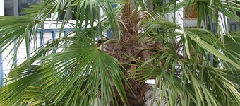 Budget Hotel - Melun Sud Dammarie Les Lys