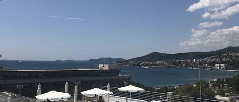 Seasonal outdoor pool, open 10 AM to 7 PM, pool umbrellas, pool loungers