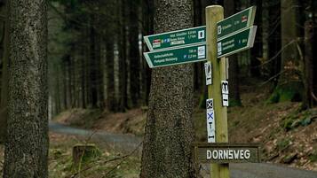 A directional signpost with multiple green signs indicating distances and directions to various locations such as Hist. Glasofen, Rotes Kreuz, and Gottschalkfichte.