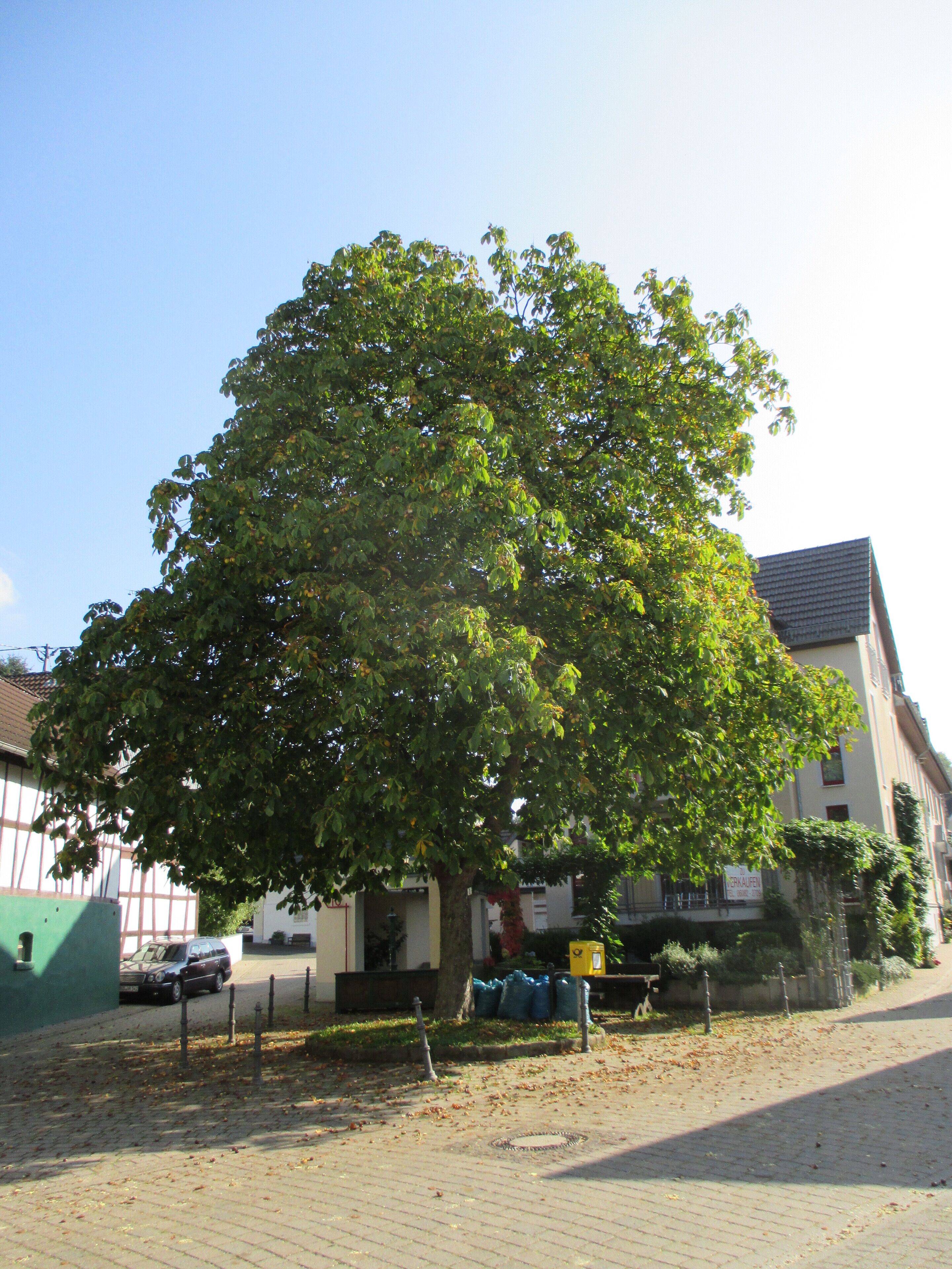 Foto - Panorama Hotel