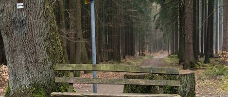 A wooden bench in a forested area with a directional sign on a post.