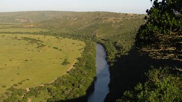 Un río serpentea por un valle verde con un sendero de tierra a lo largo de la orilla.
