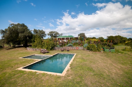Outdoor pool, sun loungers. Leeuwenbosch Country House - Amakhala Game Reserve