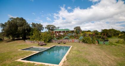 Leeuwenbosch Country House - Amakhala Game Reserve