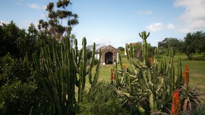 Un jardin planté de cactus et un bâtiment en pierre doté d’une entrée en arc de cercle.