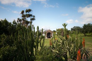 Konaklama yerinden manzara