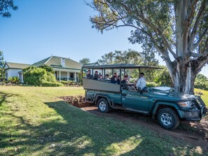 A safari vehicle parked in a grassy area with a large tree and a building in the background.