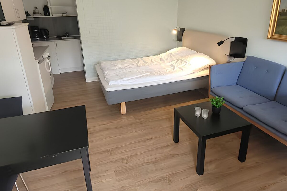 A compact living space with a bed, a sofa, a small table, and a kitchenette.