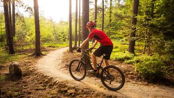 A person riding a mountain bike on a dirt trail in a forested area.