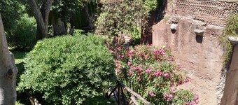 Agli Horti Sallustiani bed & breakfast