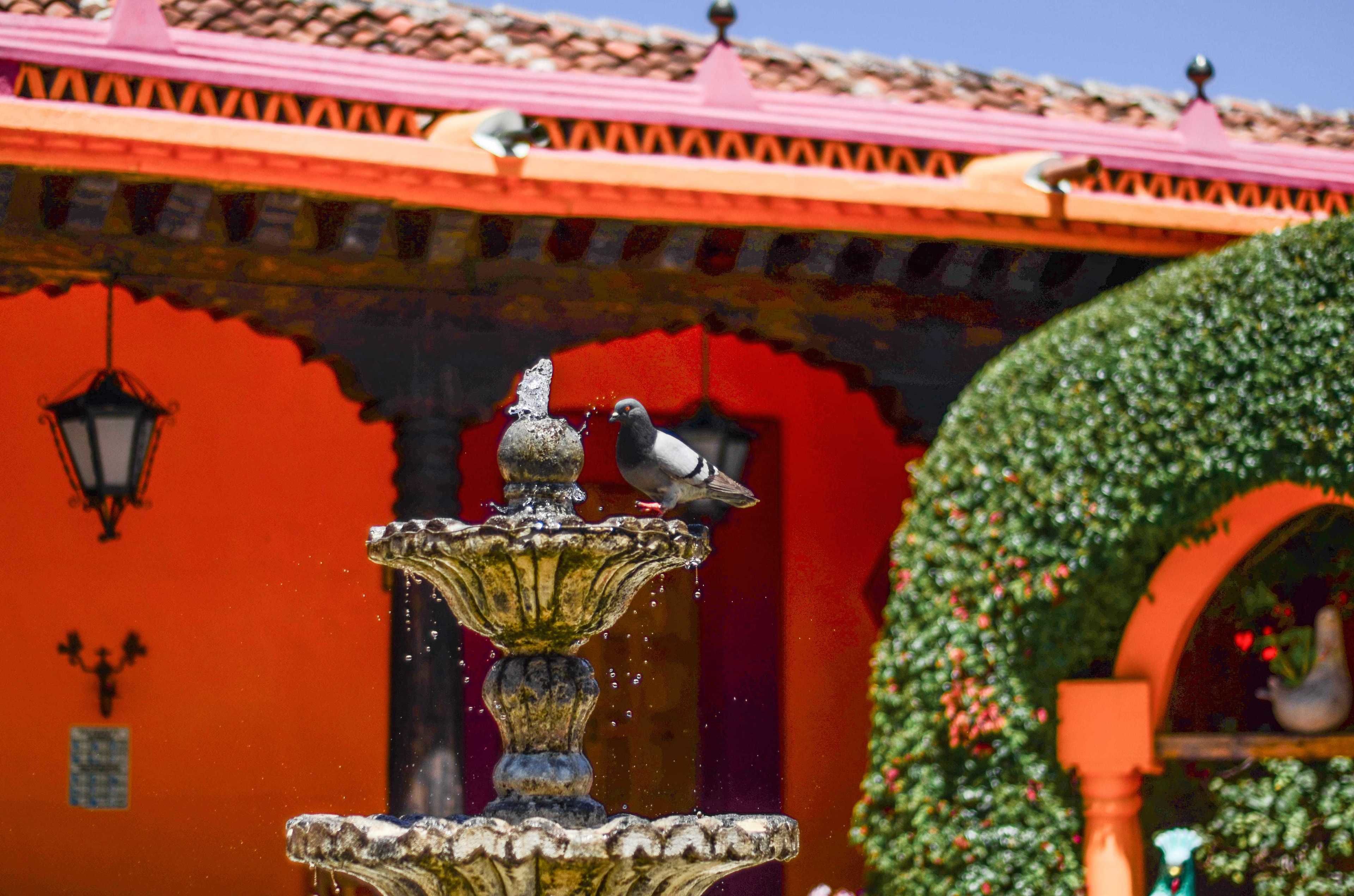 A fountain with a bird perched on it, a tiled roof, and a wall with a lantern.
