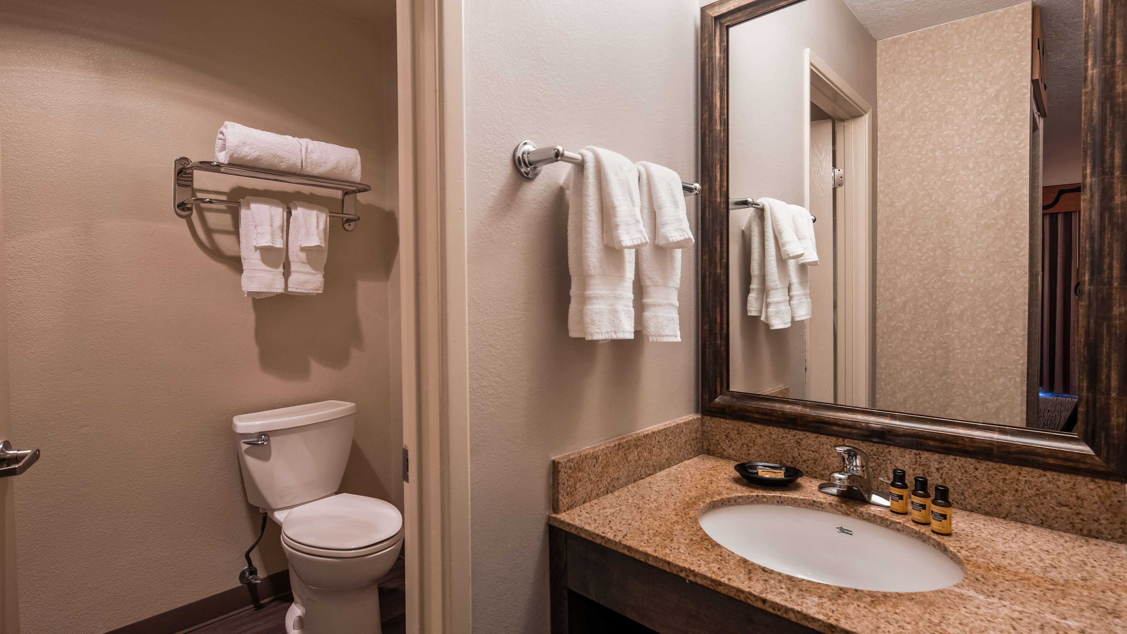 A bathroom with a toilet, a sink with a granite countertop, and a mirror.
