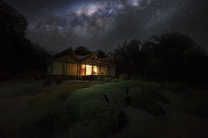 A tented accommodation with a view of the night sky, surrounded by well-maintained shrubbery.