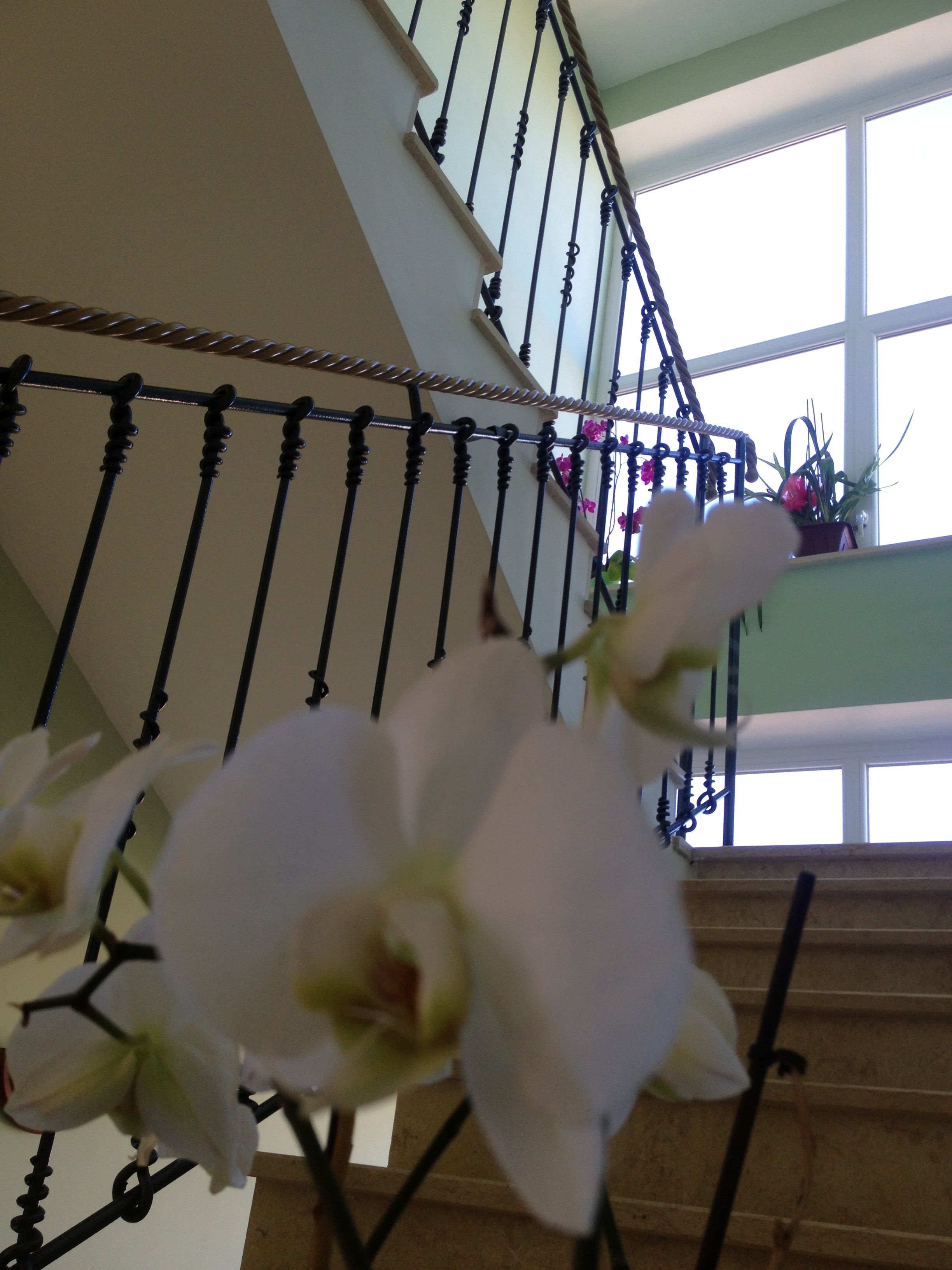 Foto - Hotel De La Ville Relais